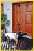 جهاز المقاومة الرياضي متعدد الاستعمالات مع تثبيت على الباب - Home Gym Resistance Bands